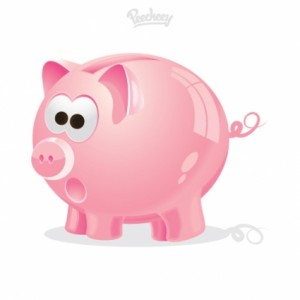 guarantor loan finance options