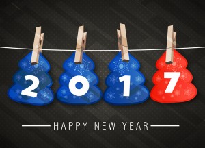 2017 online loans