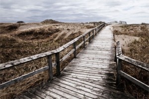 guarantor loan testimonials