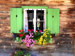 new windows