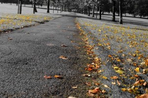 autumn home improvements