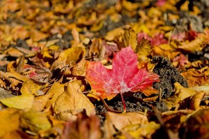 autumn home repairs
